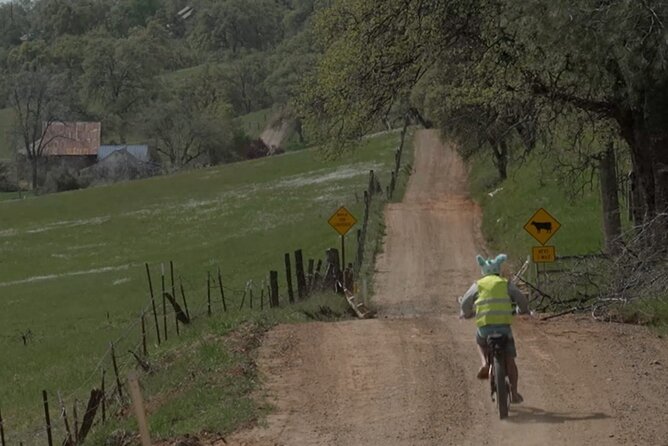Discover the Sierra Foothills With Yosemite E-Biking - Key Points