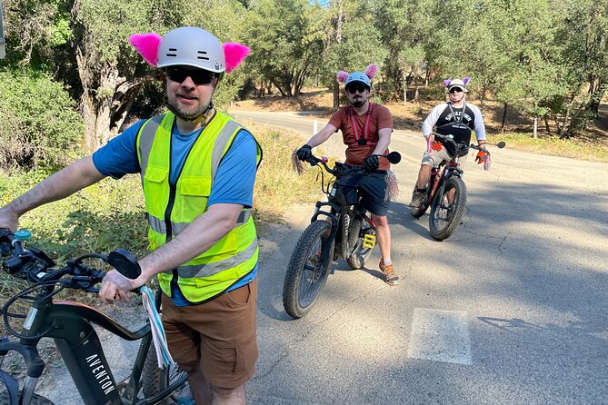 Discover the Sierra Foothills With Yosemite E-Biking - Inclusions for Your Journey