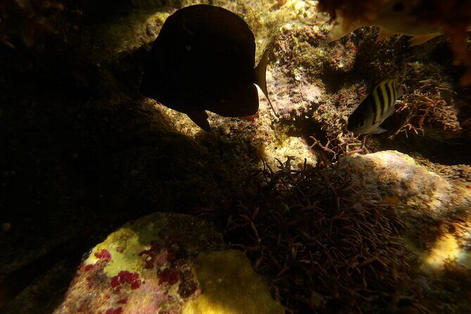 Discover the Splendid Universe of Islands and Seabed - Final Thoughts