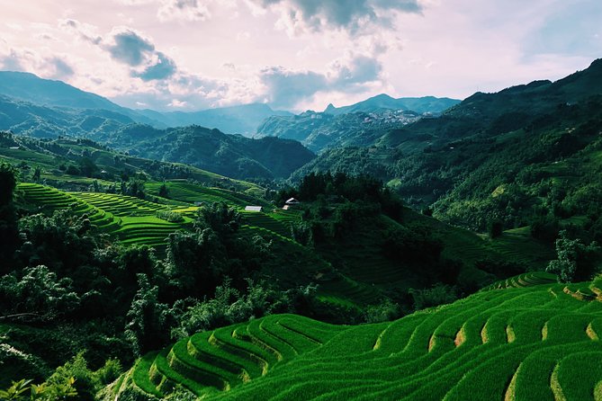 Discover the Stunning Terraced Rice Fields on 2-Day Trekking - Itinerary and Meals