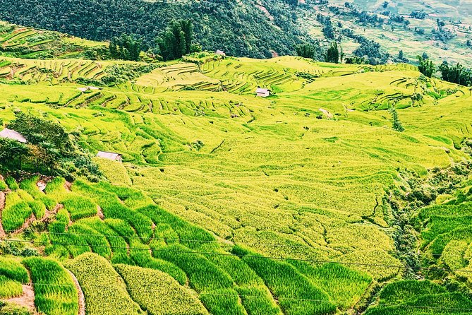 Discover the Stunning Terraced Rice Fields on 2-Day Trekking - Accessibility and Recommendations