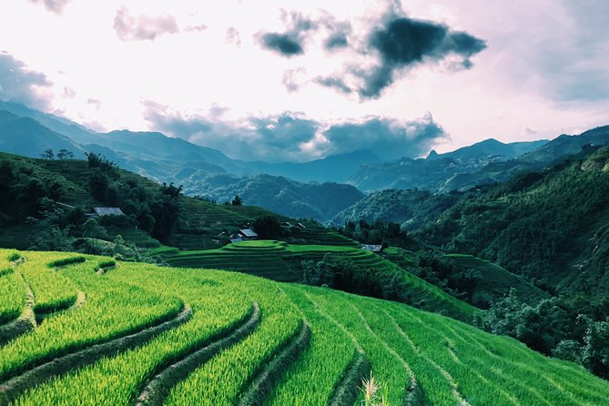 Discover the Stunning Terraced Rice Fields on 2-Day Trekking - Personalized and Authentic Journey