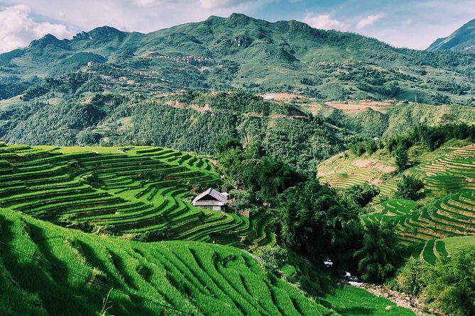 Discover the Stunning Terraced Rice Fields on 2-Day Trekking - Positive Traveler Feedback