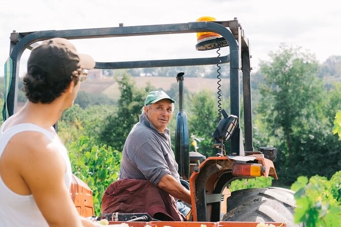 Discover the True Tintilia of Molise, Authentic and Excellent - Authentic Local Dishes and Pairings