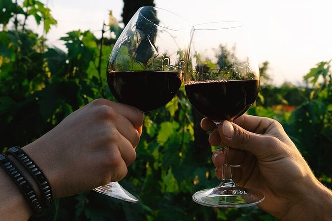 Discover the True Tintilia of Molise, Authentic and Excellent - Exceptional Guest Feedback and Ratings