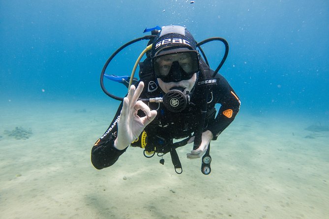 Discover the Underwater World of Lanzarote - Scheduled Activity Start and End Times