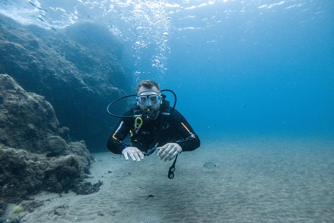 Discover the Underwater World of Lanzarote - Confirmation and Accessibility Information