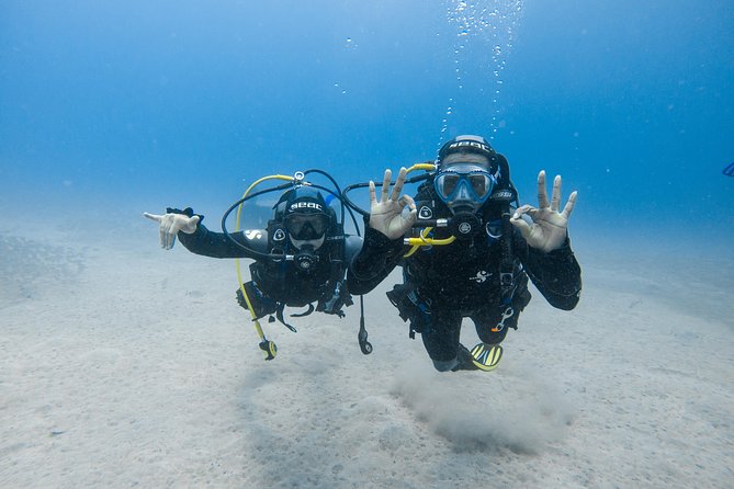 Discover the Underwater World of Lanzarote - Exploring the Underwater World