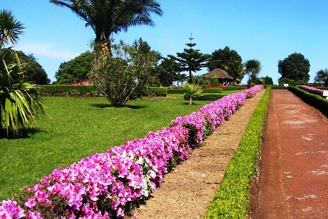 Discover the Unexplored Beauty of the Island by 4x4 Tour - the Nordeste - Inclusions