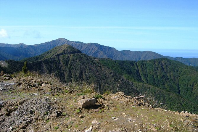Discover the Unexplored Beauty of the Island by 4x4 Tour - the Nordeste - Additional Information