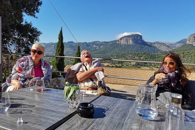 Discover the Varieties of Wines, Olive Oil and Food on Mallorca - Scenic Vistas and Picturesque Landscapes