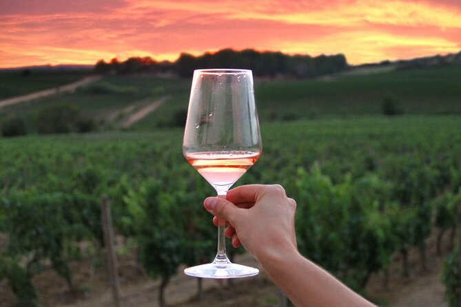 Discover the Wine Producers of Emilia Romagna - Pickup and Transportation Details