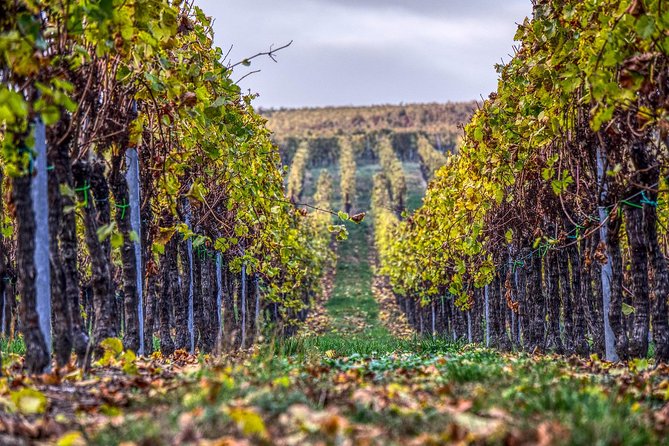 Discover the Wine Producers of Emilia Romagna - Questions About Staying Here