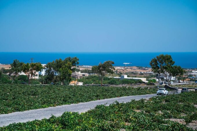 Discover the Wine Santorini Wine Tasting and Vineyard Tour - Inclusions and Exclusions