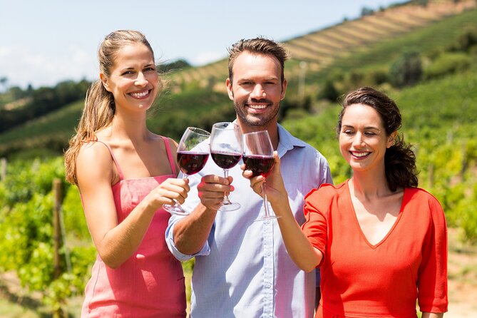 Discover the Winery and Taste Fine Wine in Extremadura - Exploring the Cellar