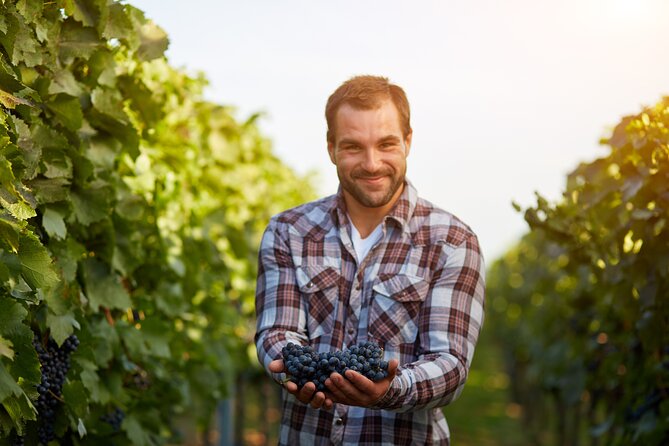 Discover the Winery and Taste Fine Wine in Extremadura - The Deposits Room