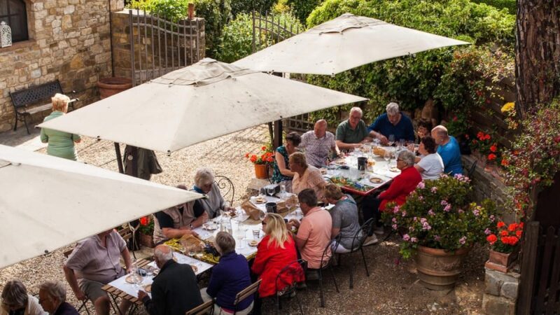 Discover the Wines of Chianti Classico With a Tasting at Viticcio - Key Points