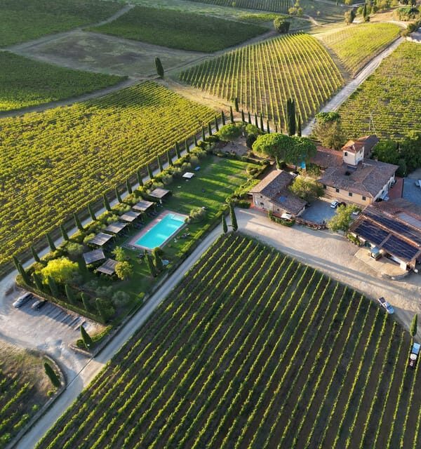 Discover the Wines of Chianti Classico With a Tasting at Viticcio - The Charm of Chianti Classico