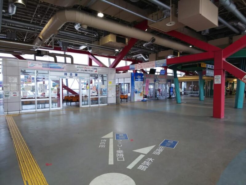 Discover the Wonder of Sakurajima Half Day Tour in Kagoshima - Yunohira Observation Deck