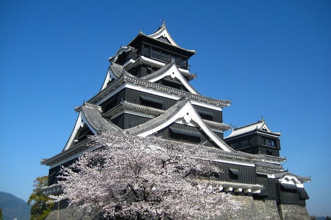 Discover the Wonders of Kumamoto Tour Ramen Lunch Included - Strolling Through Kumamotos Historic District