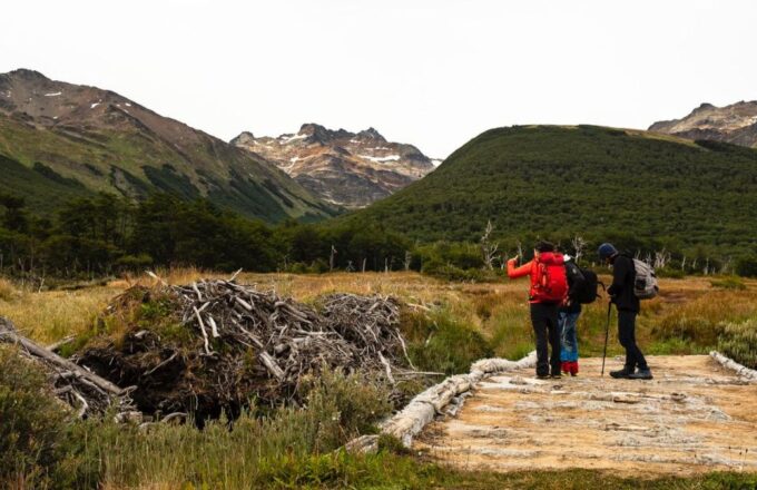 Discover Tierra Del Fuego National Park - Scenic Route Along Beagle Channel
