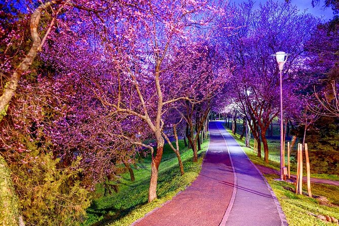 Discover Timisoara by Bicycle - Highlights of Timisoara