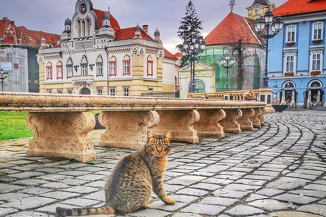 Discover Timisoara by Bicycle - Worth The Stay