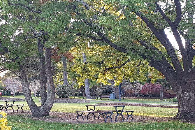Discover Toowoomba Tours - Terms and Conditions