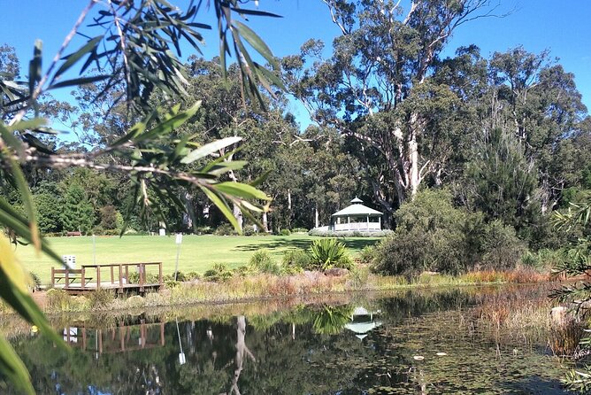Discover Toowoomba Tours - Glowing Customer Reviews