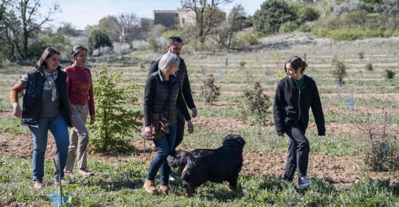 Discover Truffles From the Farm to the Fork - Learning and Activities