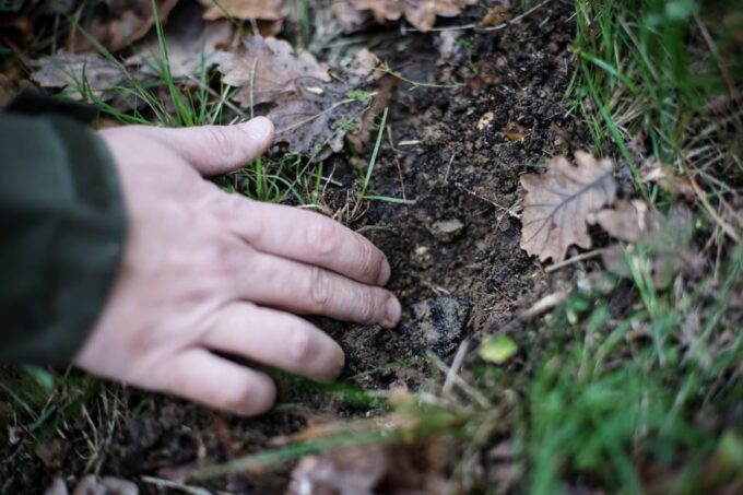 Discover Truffles From the Farm to the Fork - About the Location