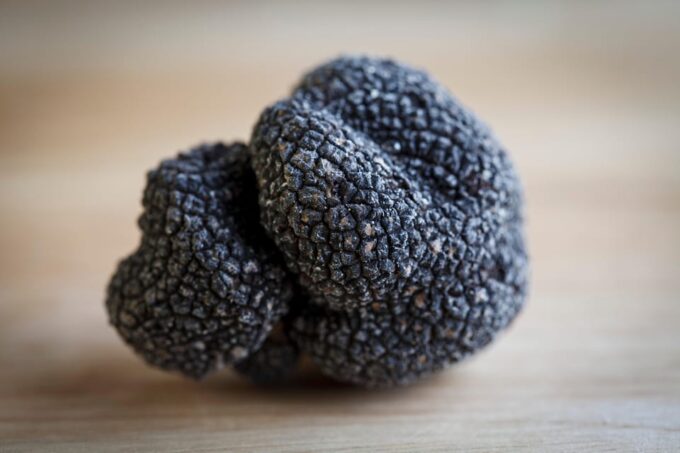 Discover Truffles From the Farm to the Fork - Culinary Workshop Details