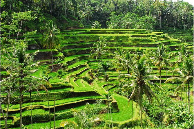 Discover Ubud: 2 Days Ubud Private Tour - Gunung Kawi Sebatu Temple