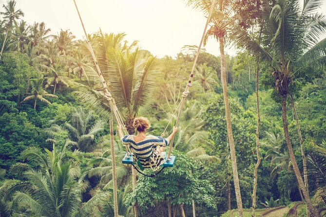 Discover Ubud: 2 Days Ubud Private Tour - Monkey Forest