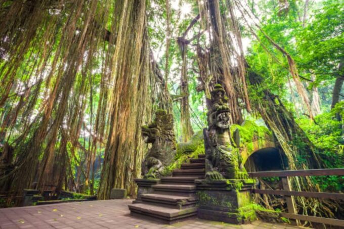 Discover Ubud Hidden Gems: A Costumable Private Day Tour - Pickup and Drop-off Locations