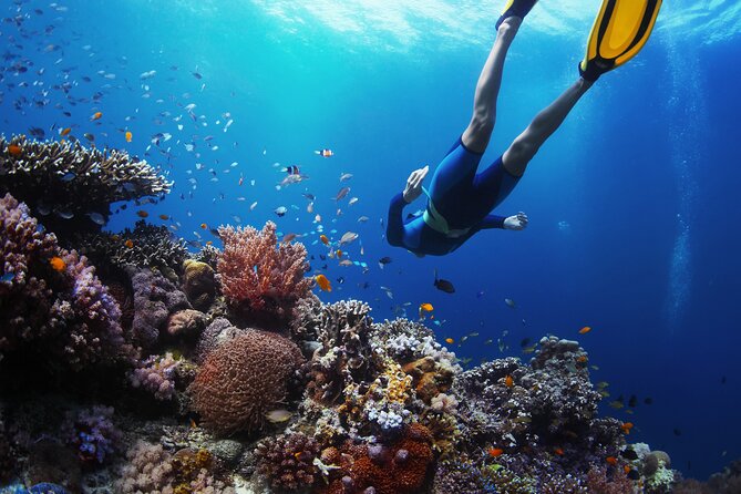 Discover Underwater Blue Lagoon With This Snorkeling - Private Tour for Your Group