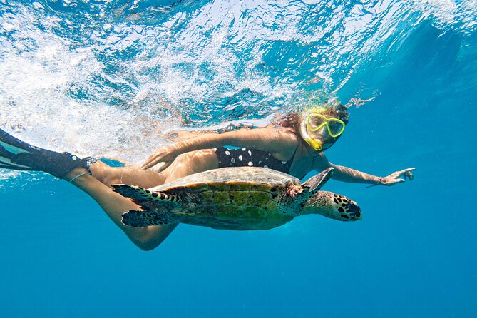 Discover Underwater Blue Lagoon With This Snorkeling - Inclusions and Pickup Information