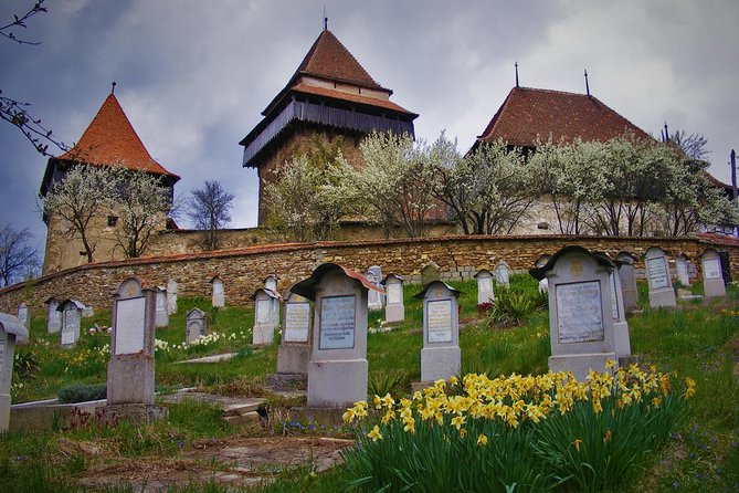 Discover Unesco Heritage From Romania in 11 Days Private Guided Tour - Bucket List Destinations
