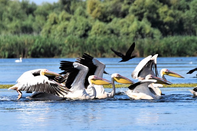 Discover Unesco Heritage From Romania in 11 Days Private Guided Tour - Travel Planning Tips
