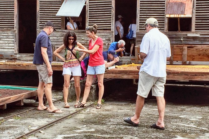 Discover & Unwind: A Customized Private Tour Experience - Indulge in Grenadas Culinary Delights
