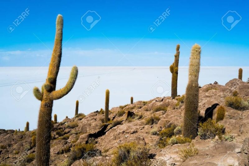 Discover Uyuni Salt Flat 2D/1N - Unique Experiences