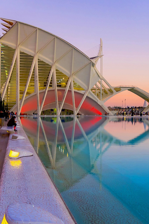 Discover Valencia by Bike: Tour of the Main Landmarks - Experience and Personalization