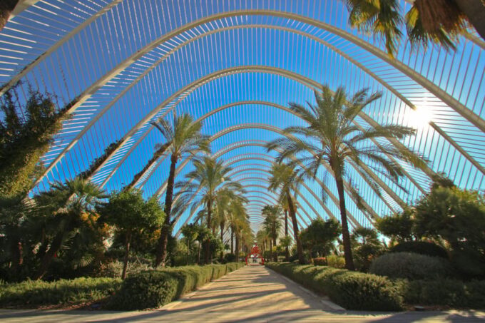 Discover Valencia by Bike: Tour of the Main Landmarks - Tour Inclusions and Exclusions