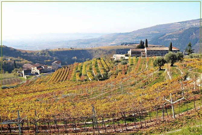 Discover Valpolicella Vineyards and Wine Tasting Experience - Meeting Point and Transportation Details