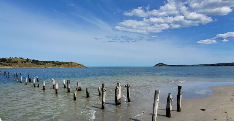 Discover Victor Harbor Guided Walking Tour - Tour Experience and Highlights