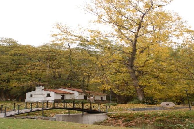 Discover Villavicencio Natural Reserve: Half-Day Adventure - Villavicencio Spa Resort