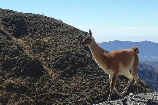 Discover Villavicencio Natural Reserve: Half-Day Adventure - Reviews and Ratings