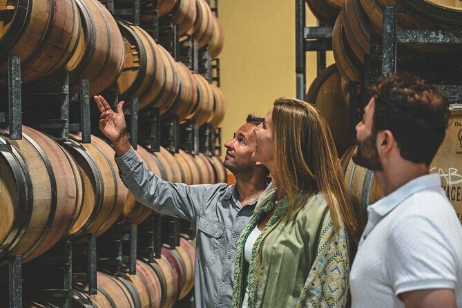 Discover Voyager Tour and Wine Tasting - An In-Depth Review of the Discover Voyager Tour and Wine Tasting