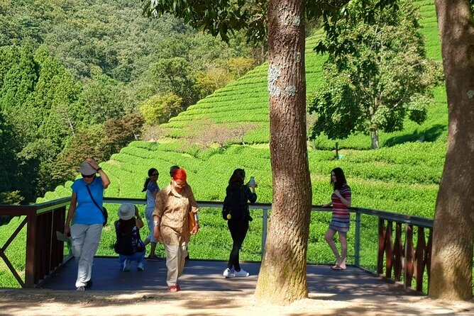 Discover Western Korea in 4days: A Wellness Holiday - Logistics and Meeting Information