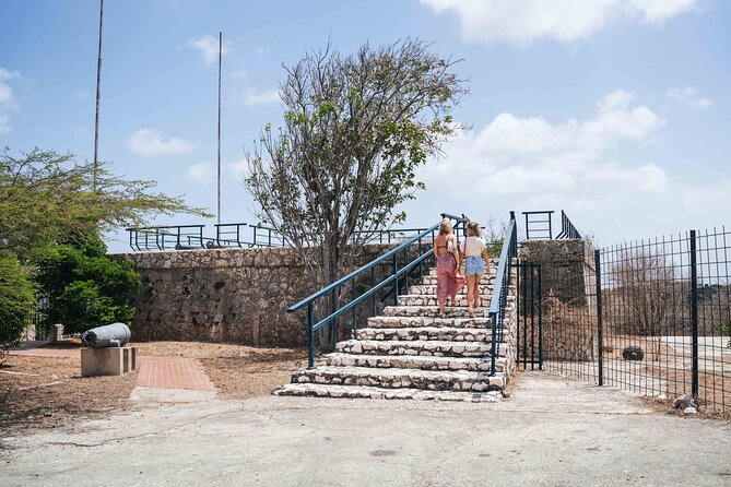 Discover Willemstad & Lunch ( Half Day Tour) - Recommendations